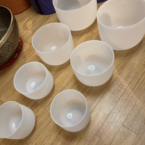 Verified buyer photo of all seven bowls unboxed and lined up by graduated size